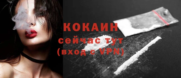 мдпв Туринск