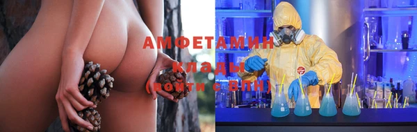 дмт Дмитровск