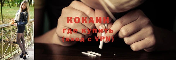 тгк Дмитров