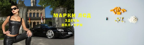 тгк Дмитров