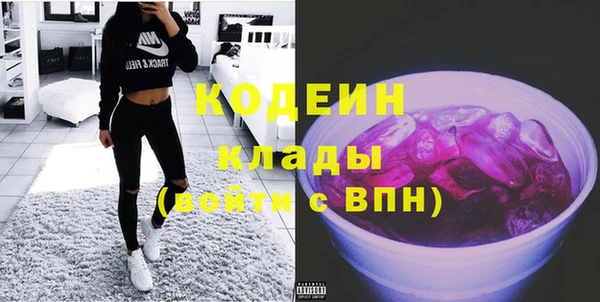 тгк Дмитров