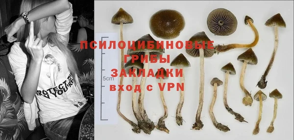 тгк Дмитров