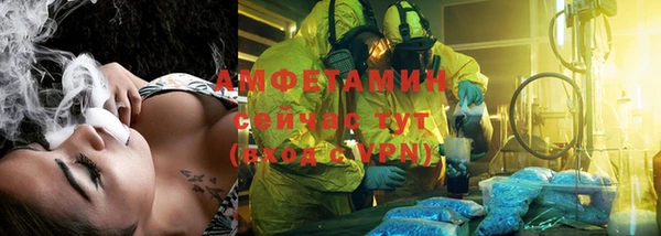 дмт Дмитровск
