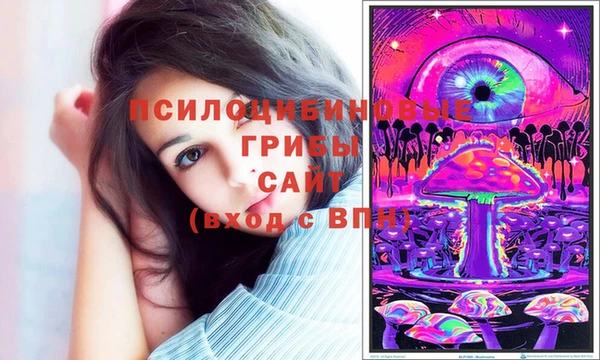 тгк Дмитров