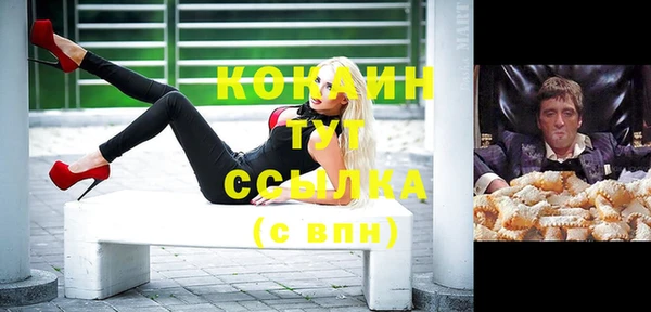 дмт Дмитровск