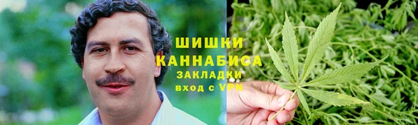 дмт Дмитровск